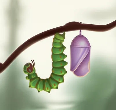 Illustration drew - Image 1