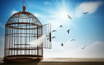 Illustration vacancy - Image 1