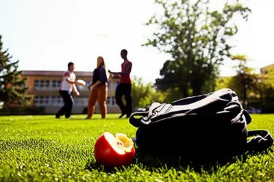 Illustration ditch - Image 1