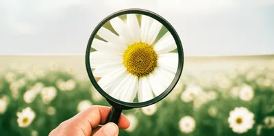 Illustration proximal - Image 1