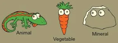 Illustration kingdom - Image 2