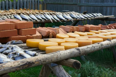 Illustration hack - Image 1