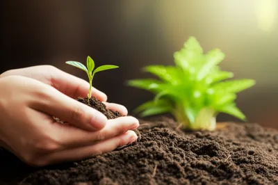 Illustration keep - Image 1