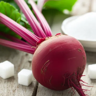 Illustration beets - Image 1