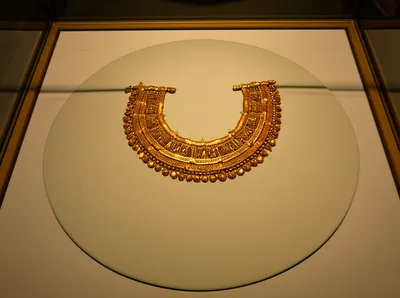 Illustration showcases