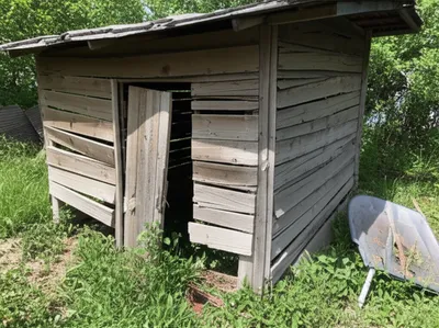 Illustration shack - Image 1