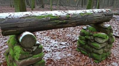 Illustration dormant - Image 1