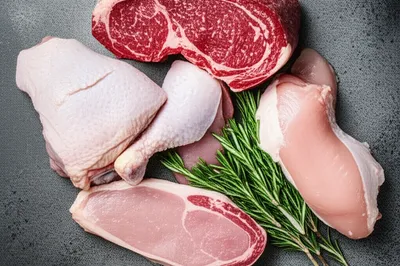 Illustration flesh - Image 1