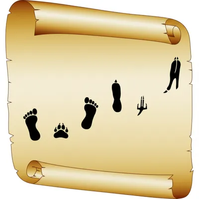 Illustration tetrameter