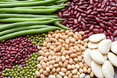 Illustration peas - Image 1