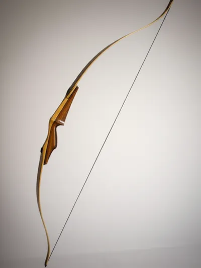 Illustration limbs - Image 1