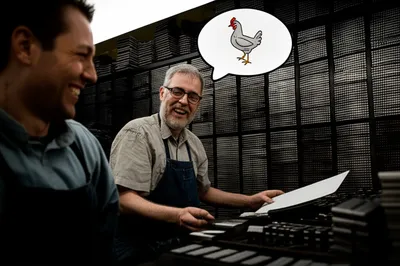 Illustration quad - Image 1