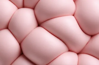 Illustration mushy - Image 1