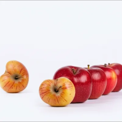 Illustration bastard - Image 1