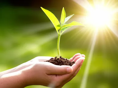 Illustration boosts - Image 1