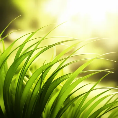 Illustration easy - Image 1