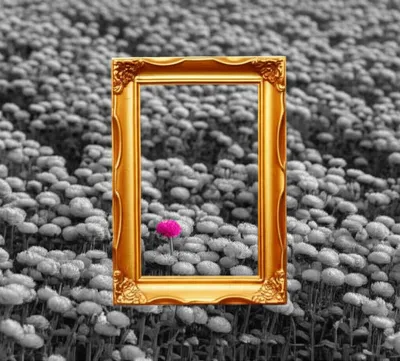 Illustration bracket - Image 1