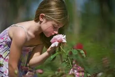 Illustration fragrant - Image 2