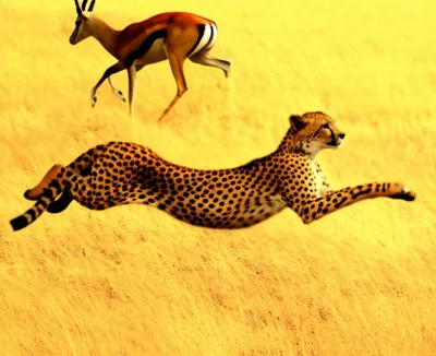 Illustration rushed - Image 1