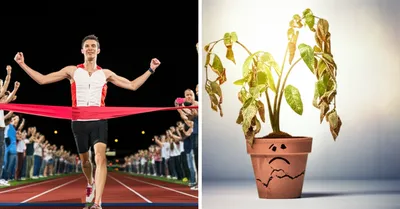 Illustration does - Image 1