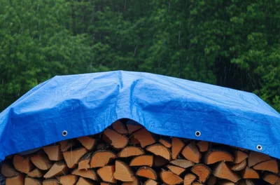 Illustration tarp - Image 1