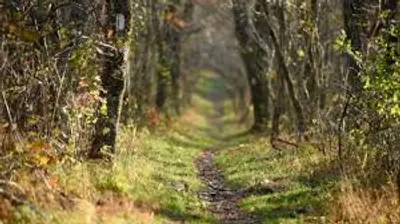 Illustration trail - Image 3