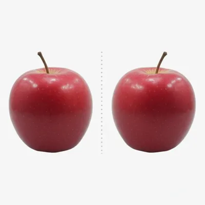 Illustration selfsame - Image 1