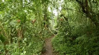 Illustration rank - Image 2