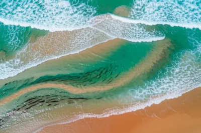 Illustration longshore - Image 1