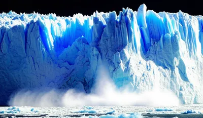 Illustration calve - Image 1