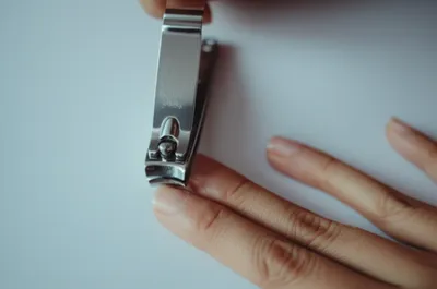 Illustration clippers - Image 1