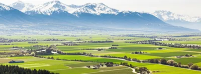 Illustration piedmont - Image 1