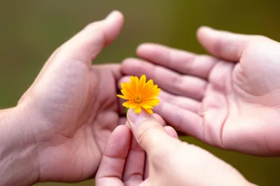 Illustration dearer - Image 1