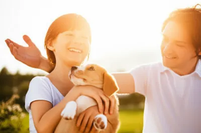 Illustration da - Image 1