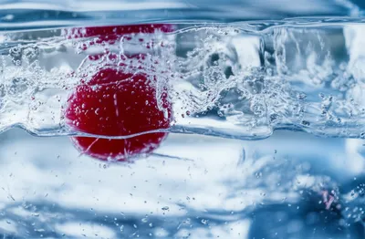 Illustration refrozen - Image 1