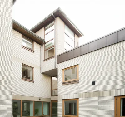 Illustration ells - Image 1