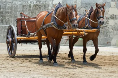 Illustration beam - Image 1