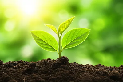 Illustration living - Image 1