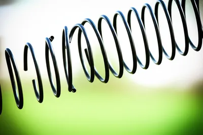 Hình ảnh minh họa springing - Ảnh 1