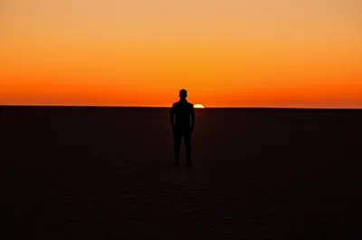 Illustration solitary - Image 1