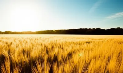 Illustration mature - Image 1