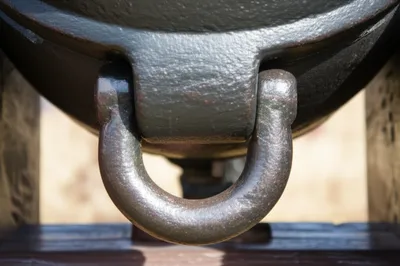 Illustration navel - Image 1