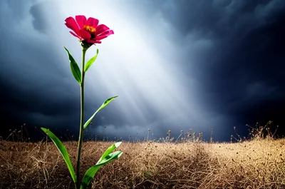 Illustration hap - Image 1