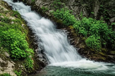 Illustration gushes - Image 1