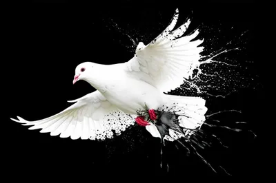 Illustration blackens - Image 1