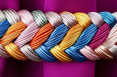 Illustration gimp - Image 1