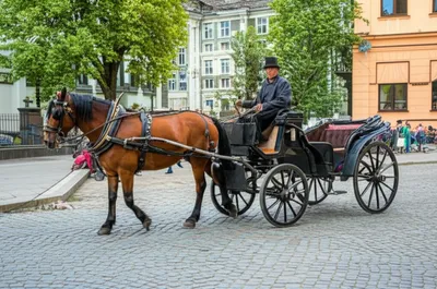 Illustration hackney - Image 1