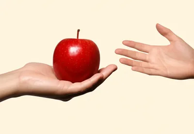 Illustration loan - Image 1