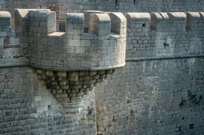 Illustration flank - Image 1