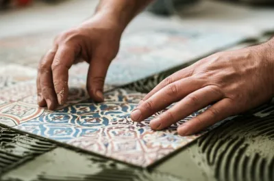 Illustration lays - Image 1